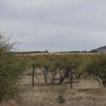 IMG_3066