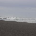IMG_3075
