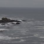 IMG_3081