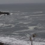 IMG_3082