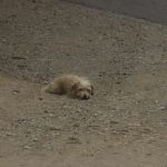 IMG_3086