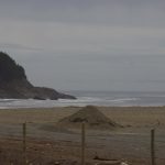 IMG_3091