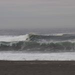 IMG_3100