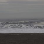 IMG_3101