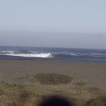 IMG_3112