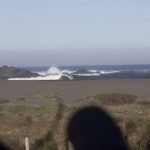 IMG_3113