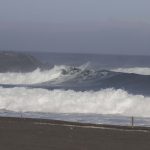 IMG_3124