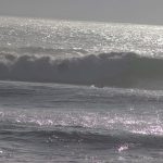 IMG_3204