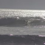 IMG_3207
