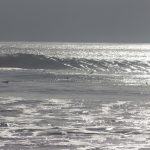 IMG_3208