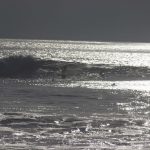 IMG_3209