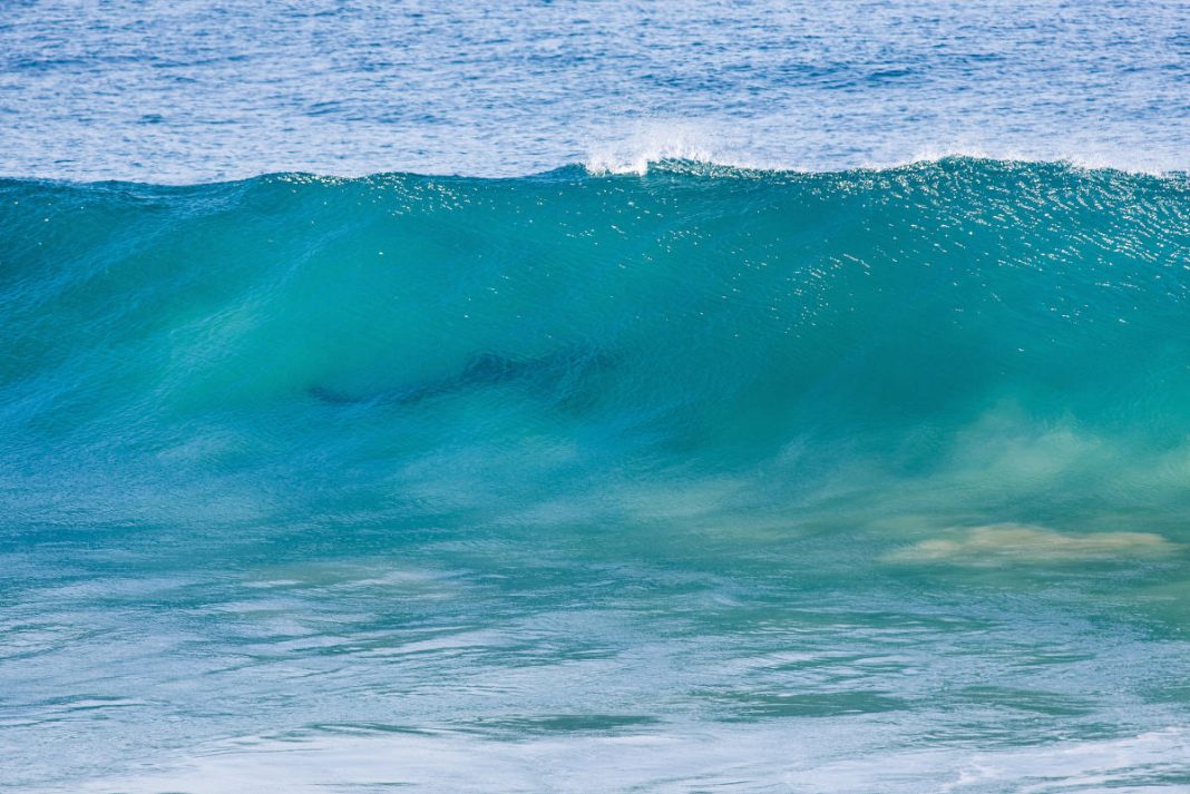 Foto: Kelly Cestari / WSL