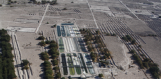 Spirulina Mater, el superalimento producido en Chile