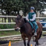 caballo chillan 2