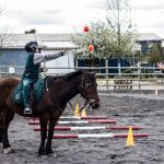 caballo chillan 3