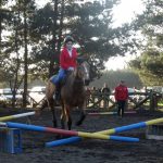 caballo chillan 4