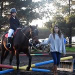 caballo chillan 5