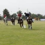 Polo Portada