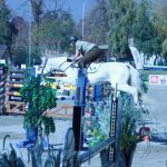 IMG_8897