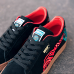 PUMAxStaCruz (b)