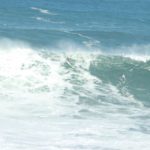 IMG_0888