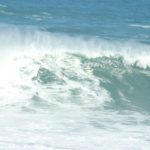 IMG_0891