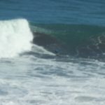 IMG_0916