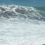 IMG_0932