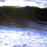 IMG_1122