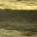 IMG_1126