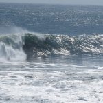 IMG_2259