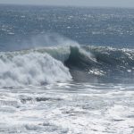 IMG_2263