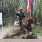 QUARTER HORSES 2018 / CRIADERO LOS CÓNDORES.
