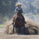 RIENDA INTERNACIONAL O REINING