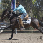 QUARTER HORSES 2018 / CRIADERO LOS CÓNDORES.
