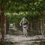 cross triatlon 7