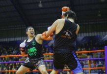 Karateca maulino debuta en las MMA