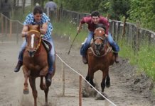 Carreras a la chilena, un clásico de nuestro Chile